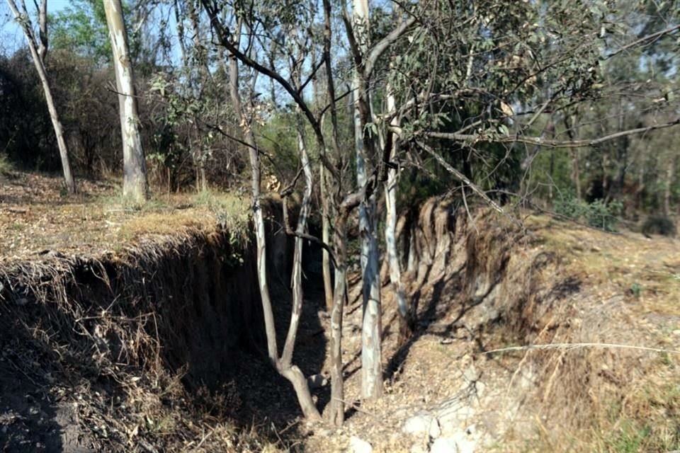 Los impuestos verdes gravan ciertas actividades que dañan el medio ambiente o que pueden dañarlo.