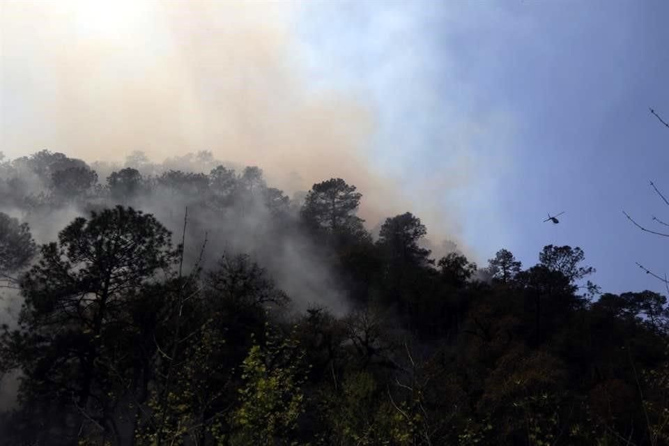Autoridades reportaron que el incendio forestal estaba controlado en un 40 por ciento y se esperaba sofocarlo hoy.