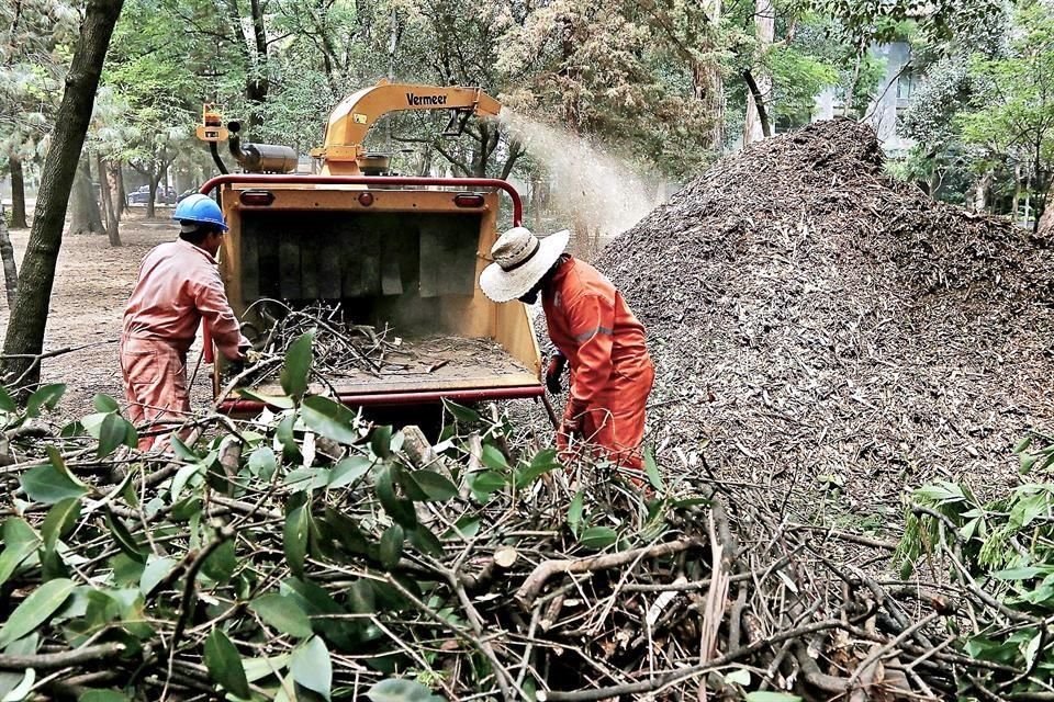 Un sistema de reciclaje fue diseñado para sanear el arbolado de los parques Gandhi, Tamayo y de la Amistad con Azerbaiyán.