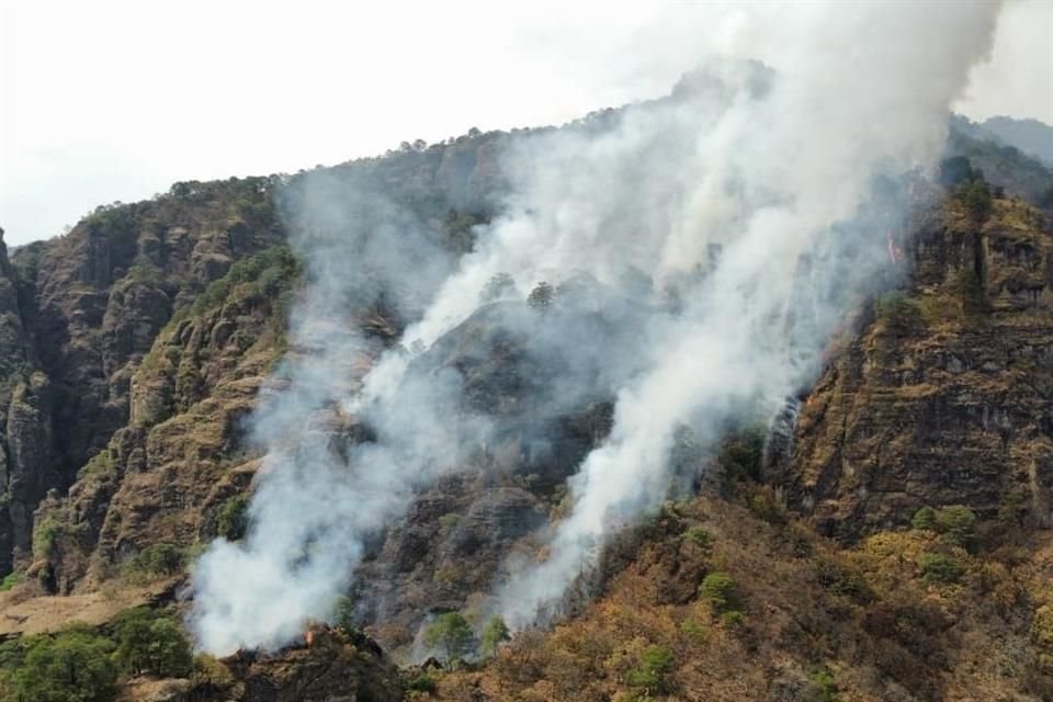 Un incendio forestal en bosque de Tepoztlán, Morelos, fue reportado a las 16:50 horas; autoridades ya trabajan para controlarlo.