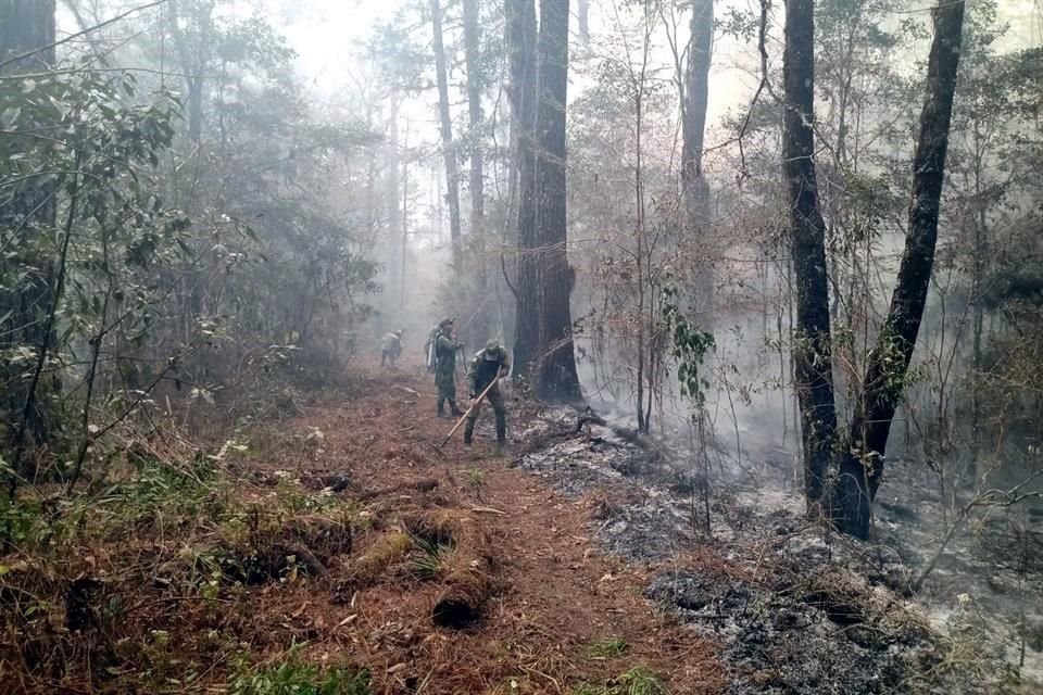Elementos de la Sedena intentan combatir el siniestro en 'El Cielo'.
