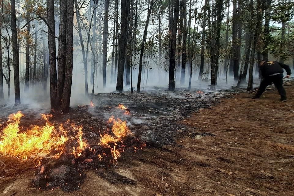 El incendio en La Camotera y Potrero Redondo, en la Sierra de Santiago, ha consumido 160 hectáreas.