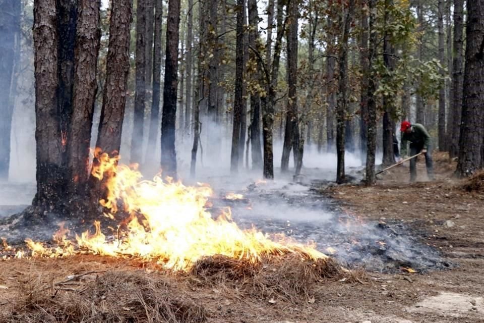 Los integrantes de la Brigada Fénix trabajaban realizando cortabrechas para evitar que las llamas alcanzaran zonas habitadas de la Sierra de Santiago.