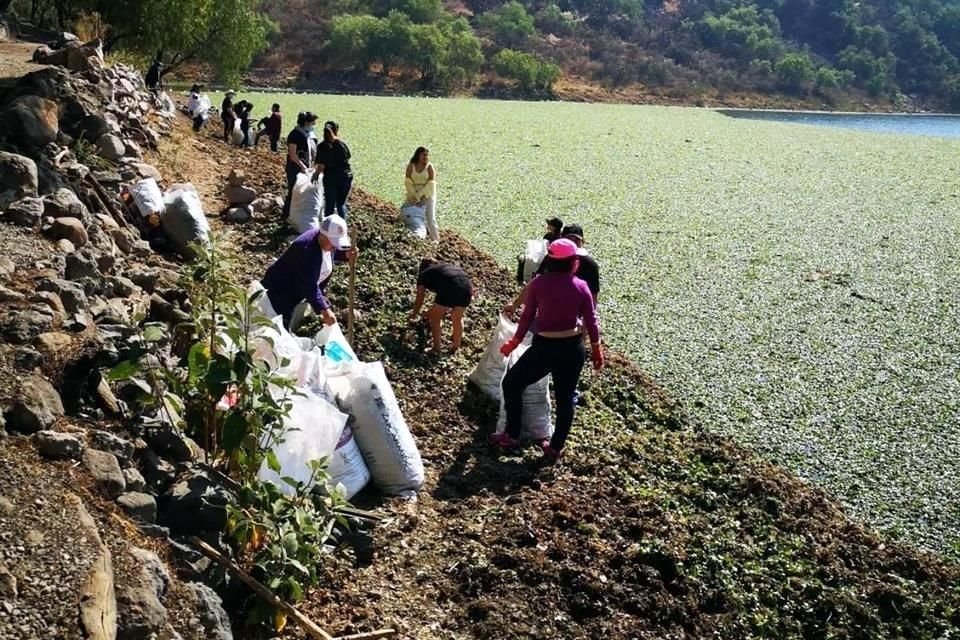 Con bolsas, voluntarios recogen basura y desperdicios tanto en las orillas como en el cuerpo de agua.