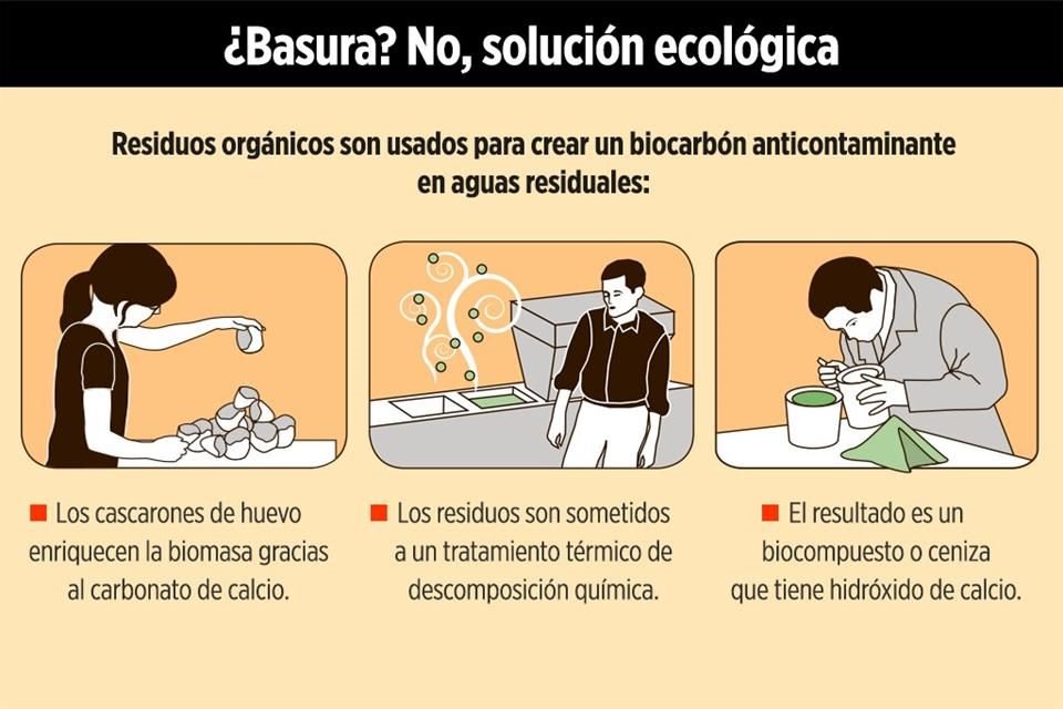 ciclo de vida vibrio cholerae