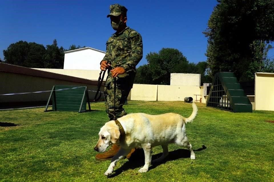 Debido a su situación de salud, Frida ya solo se relaja en las instalaciones de la Marina.