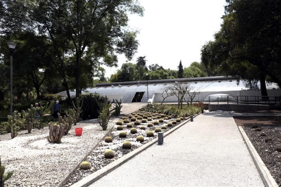 Mientras que el actual jardín, ubicado en la Primera Sección, será remodelado, en la Segunda Sección se abrirá un espacio etnobotánico a partir de agosto.