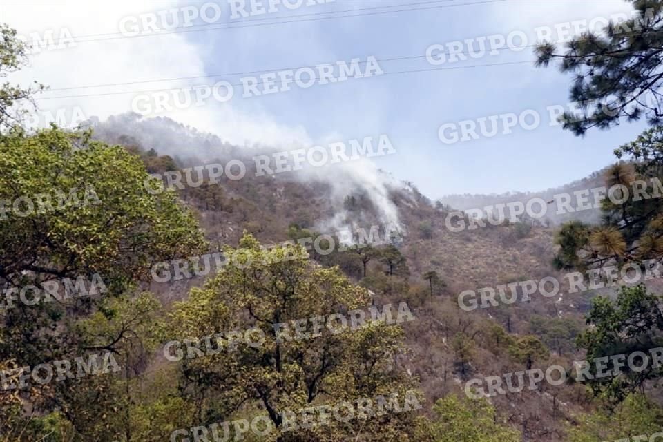 El incendio ya alcanzó al territorio del Parque El Manzano.