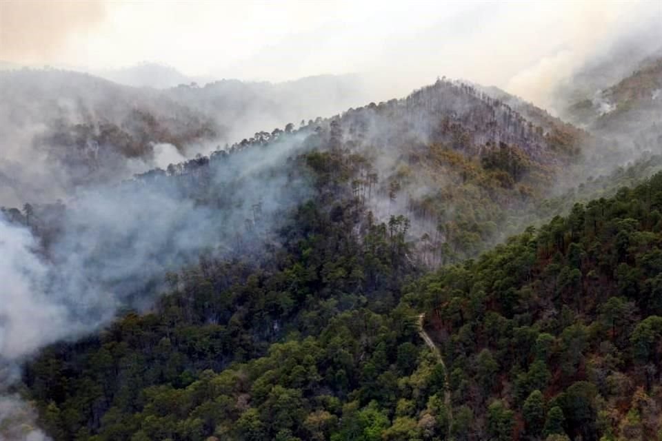 El incendio en la Sierra de Santiago alcanzó al Parque El Manzano.