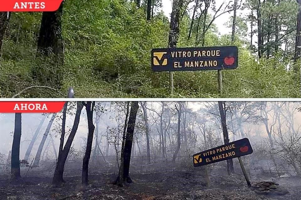 Una parte de El Manzano pierde su verdor al ser alcanzada por incendio que consume la Sierra de Santiago; ahora amenaza Ciénega de González.