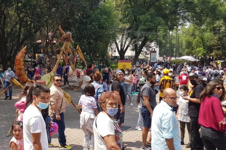 Figuras gigantes de insectos son parte de la visita al Bosque de Chapultepec, en donde paseantes admiran las estampas de gran formato.