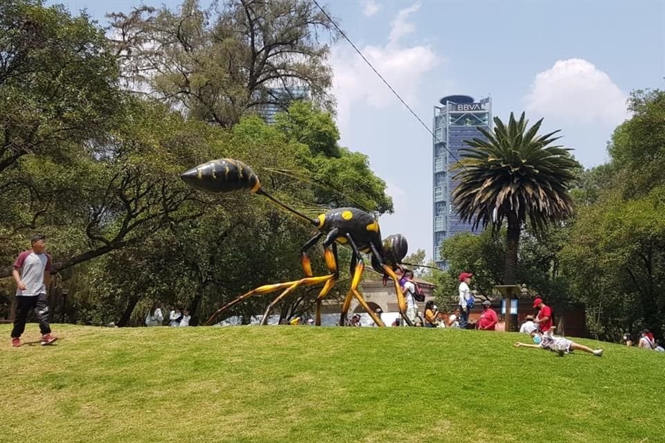 Una colección de 11 insectos monumentales llama la atención de los visitantes del Bosque de Chapultepec. 