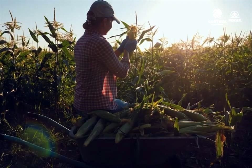 Diputadas demandaron al Gobierno federal destinar más recursos al campo para combatir caída en producción de granos y alza en importaciones.