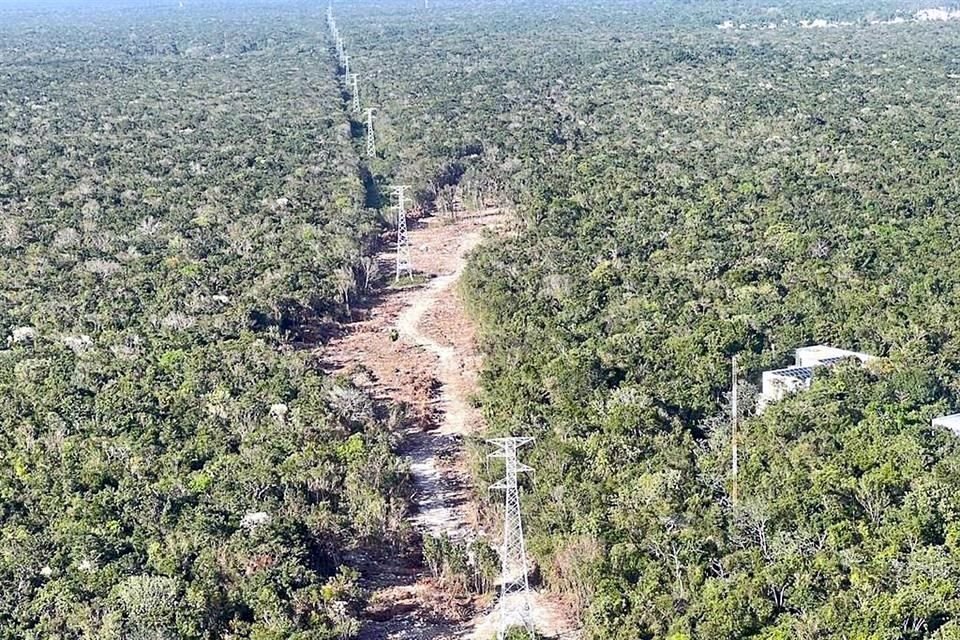El juez ordenó detener las obras y la tala de árboles.