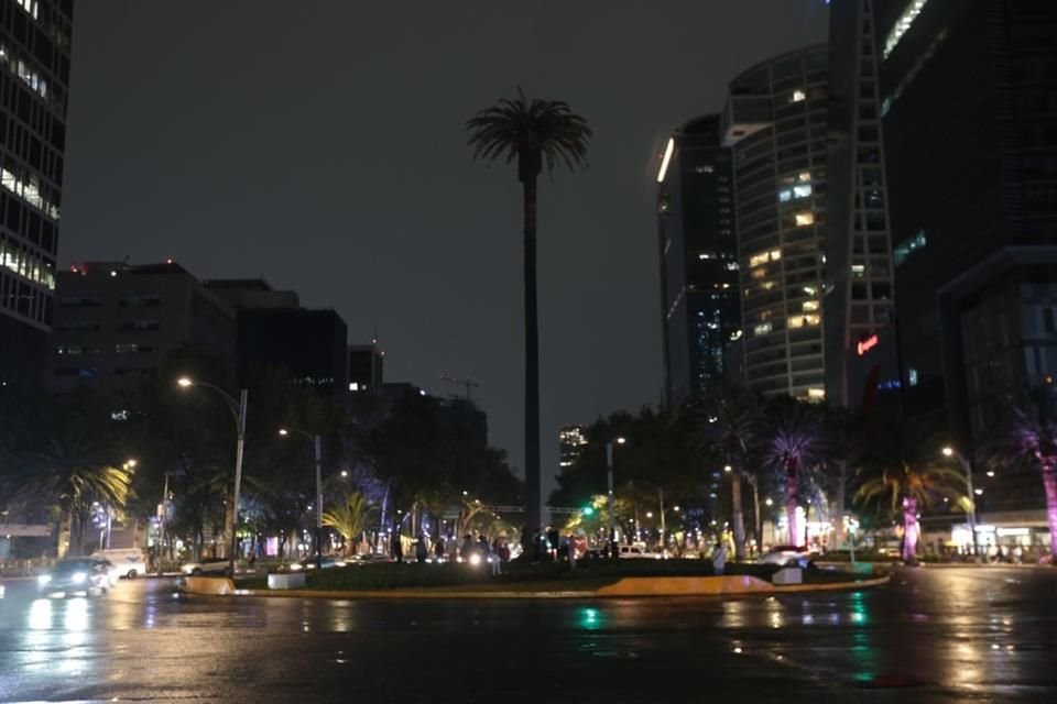 La palmera comenzó a ser derribada por la noche luego de que una plaga la dañara.