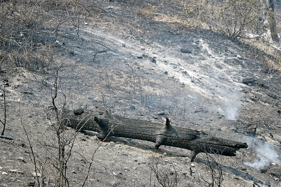 El segundo incendio forestal en Santiago duró 25 días y afectó unas 5 mil hectáreas.
