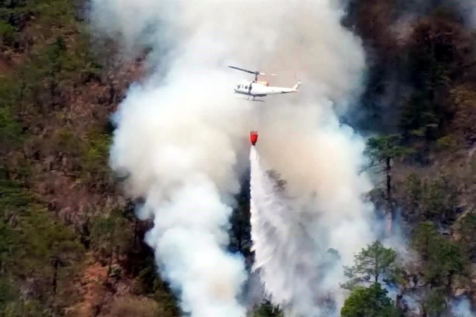 El helicóptero era usado para combatir el incendio forestal en Los Rayones. 