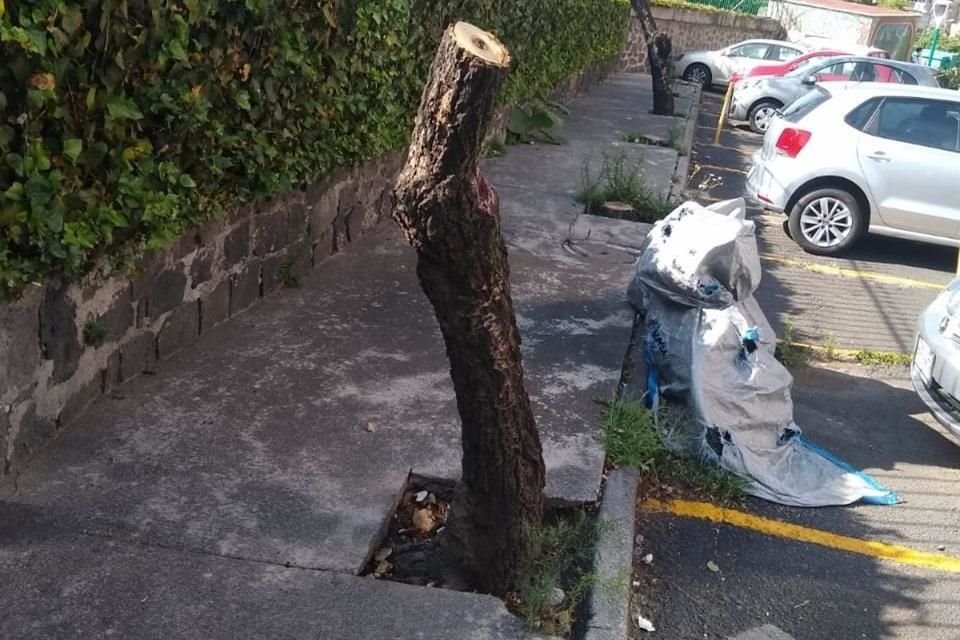 Los vecinos de Torres de Mixcoac se manifestaron en la zona de los hechos y lograron evitar la demolición del área verde.