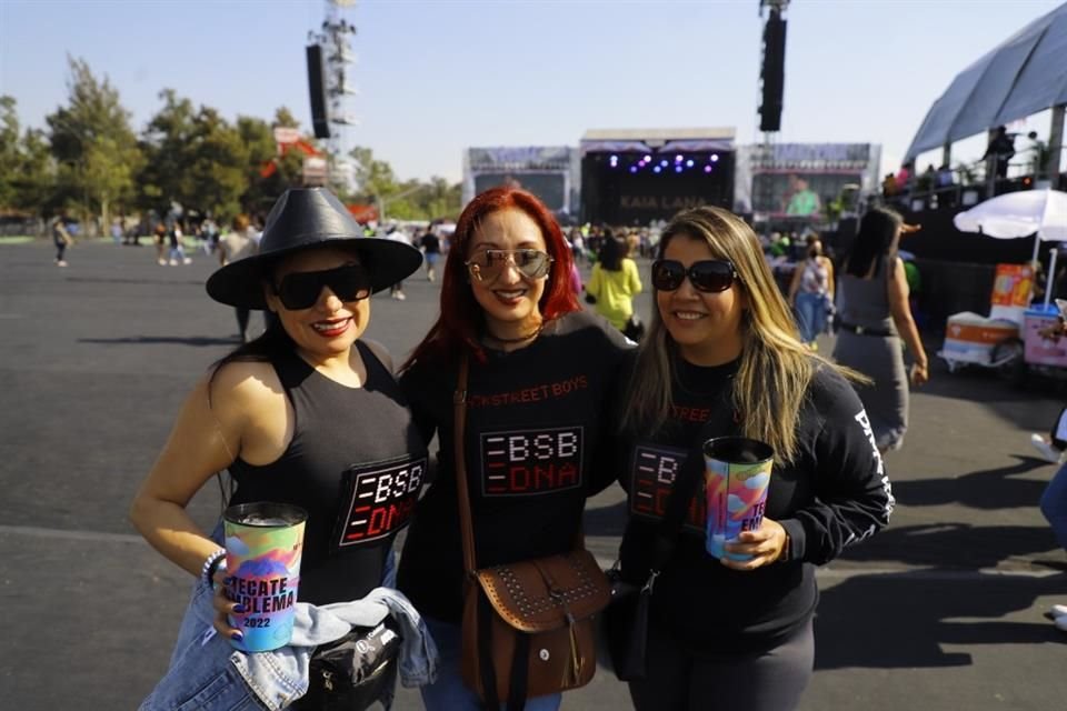 Y para el calor se hidrataron con una cerveza mientras esperaban la presentación de su artista o banda favorito.