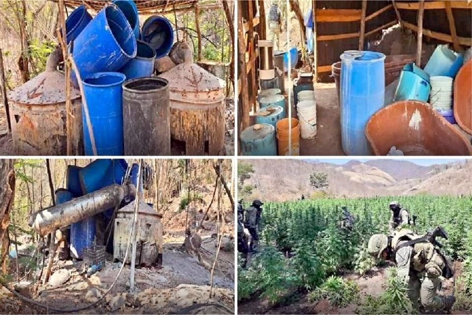 Militares incautaron reactores, condensadores y otros materiales para la fabricación de drogas sintéticas, además erradicaron 6.7 hectáreas de mariguana.