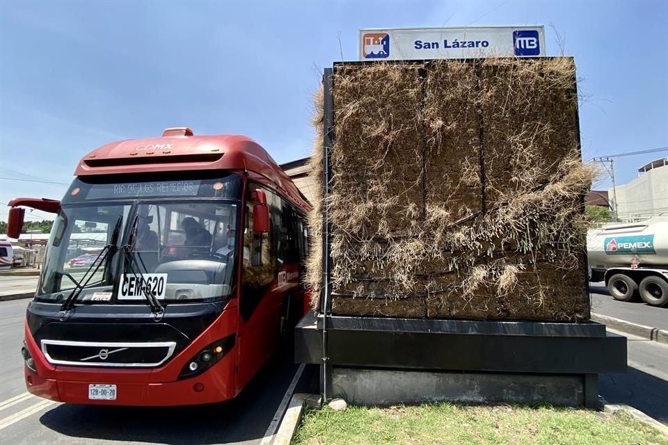 En la estación San Lázaro de la Línea 5 la maleza de los jardines verticales se encuentra seca.