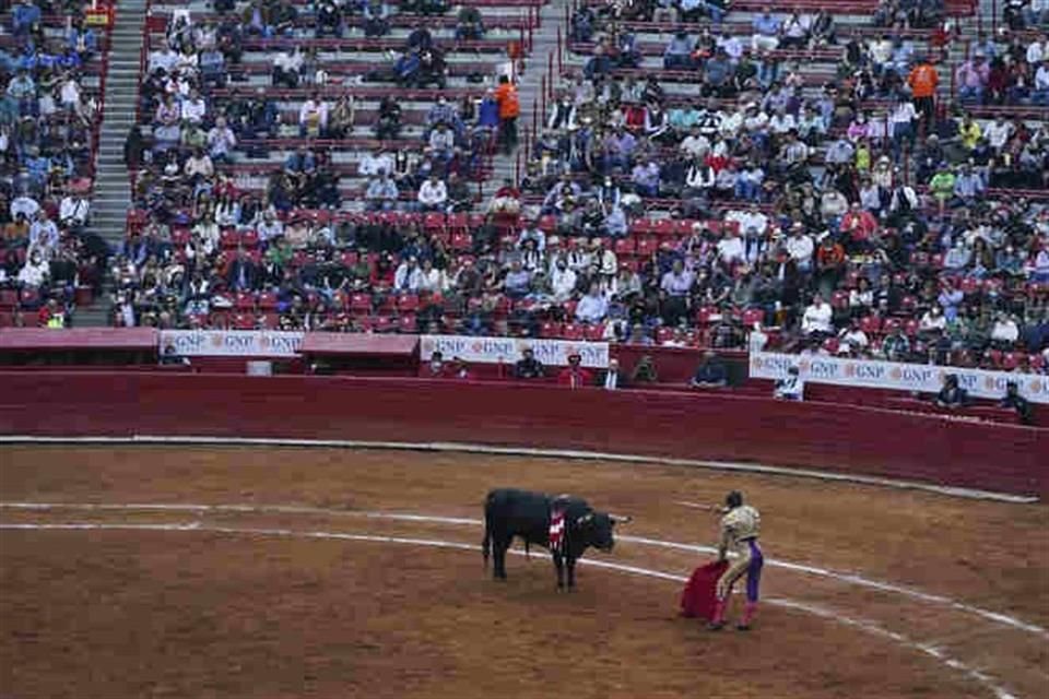 La PAOT reprochó la decisión de la Suprema Corte de Justicia de la Nación para reanudar las corridas de toros en la Plaza México.