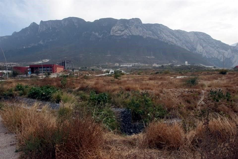 Según el artículo 65 de la Ley de Hacienda para los Municipios del Estado, los dueños de predios como lotes baldíos deben efectuar el desmonte, desyerbe o limpieza del inmueble, tres veces al año.