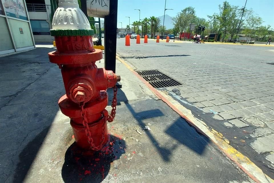 Los hidrantes están conectados a la red potable.