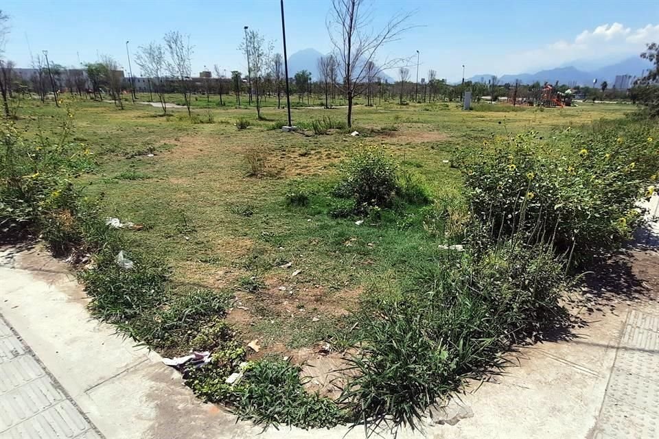 El pasto seco y maltratado abunda en el parque.