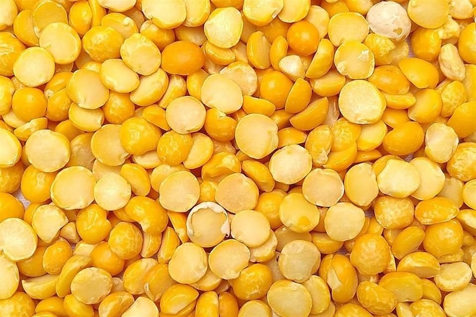 Los chícharos amarillos podrían utilizarse para crear el queso basado en plantas del mañana, según investigación danesa.