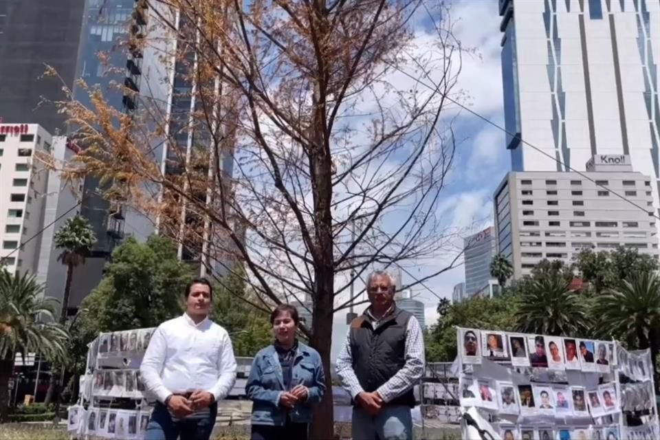 La titular de la Sedema visitó el ahuehuete con los donadores del ejemplar, quienes recomendaron aislar el contorno inmediato del tronco.