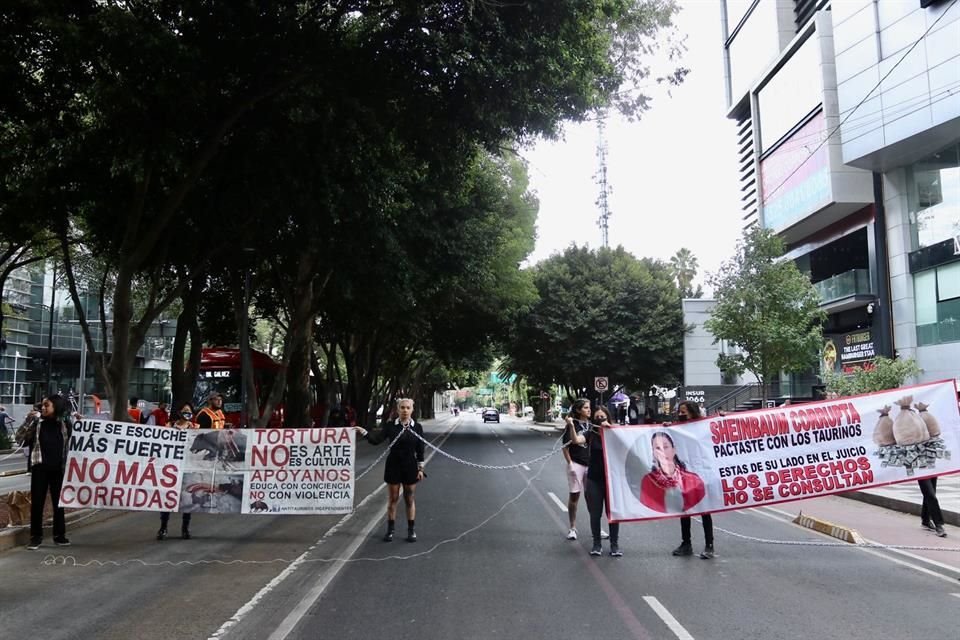 'Los derechos no se consultan', indicaba una manta desplegada por los activistas ante los automovilistas. 