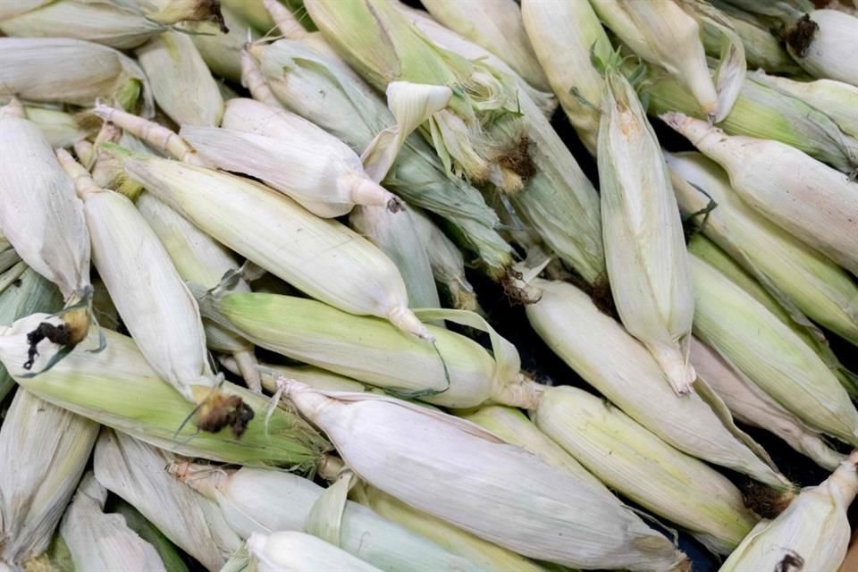 Adicionalmente hay un apoyo de 200 pesos, pero este es a discreción del productor beneficiado. 