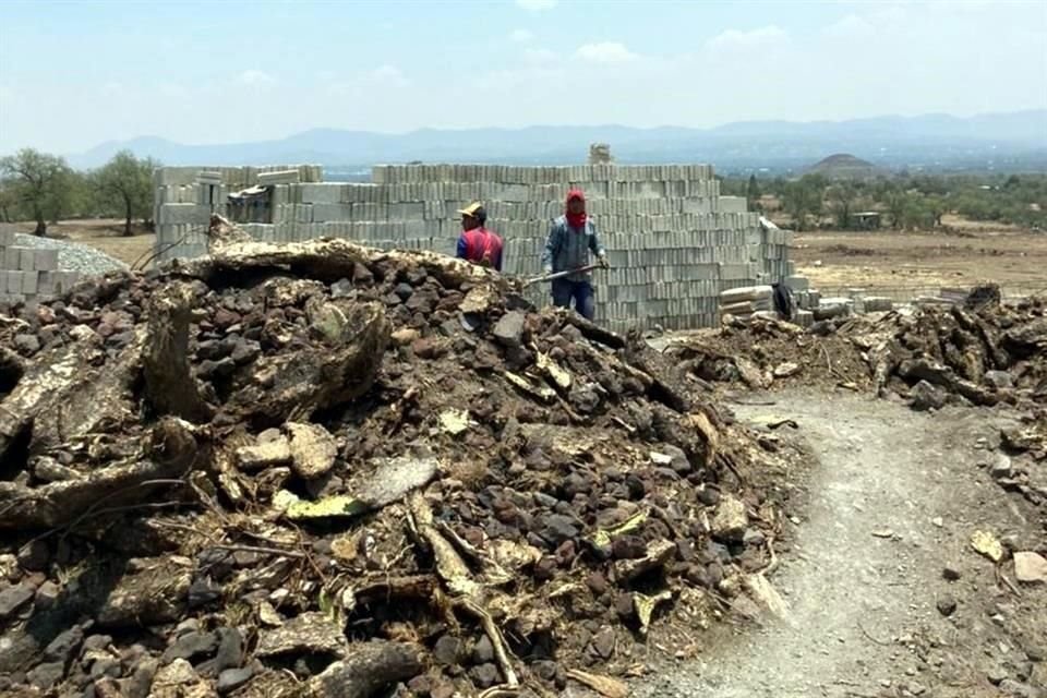 Las obras para construir un parque recreativo se llevan a cabo en el perímetro B de Teotihuacán, protegido por su valor arqueológico.