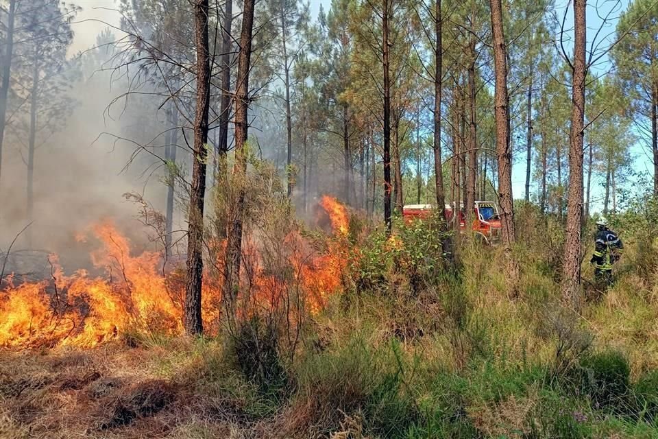 Bomberos franceses trabajan para contener el incendio en Landiras.