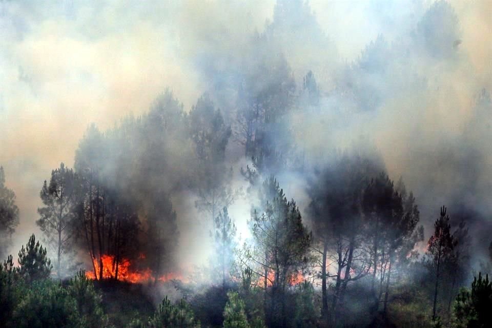 El humo se extiende sobre la vegetación en Landiras, Francia.