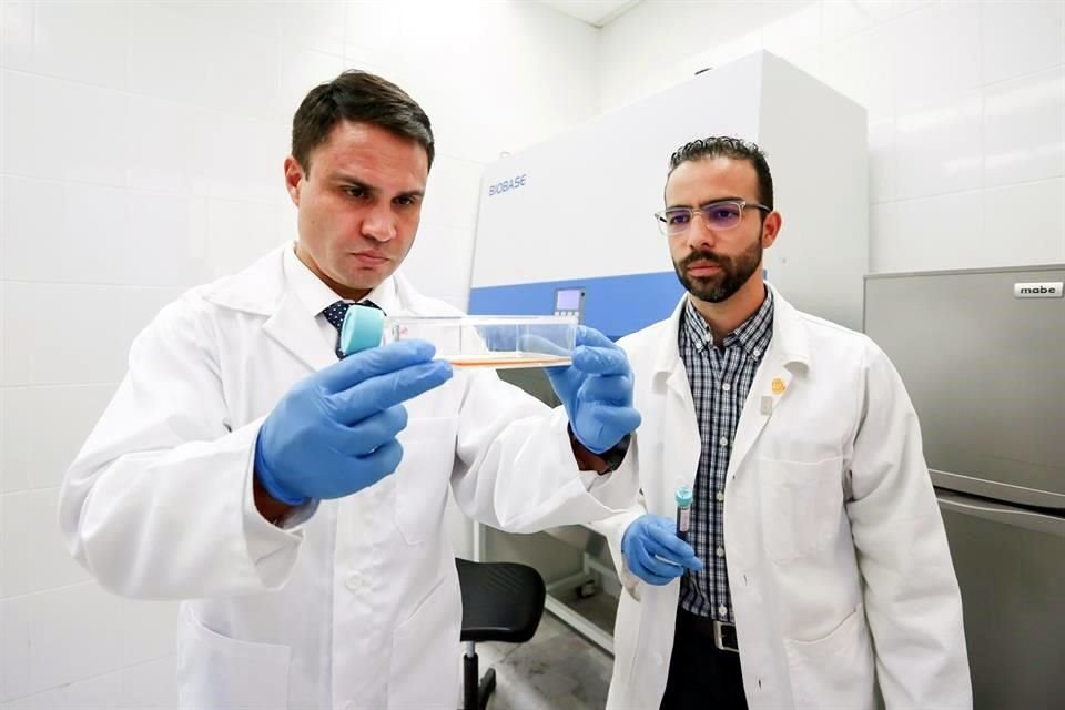 Claudio Cabral Romero (izq.) y René Hernández Delgadillo encabezan por la UANL el estudio 'Uso de nanopartículas lipofílicas de bismuto como agentes anticancerígenos'.