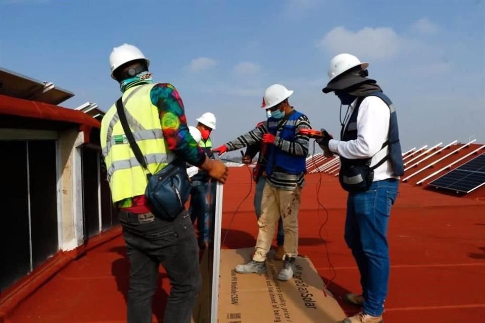 Las primeras fotoceldas estarán en el área donde se venden frutas, verduras y legumbres.