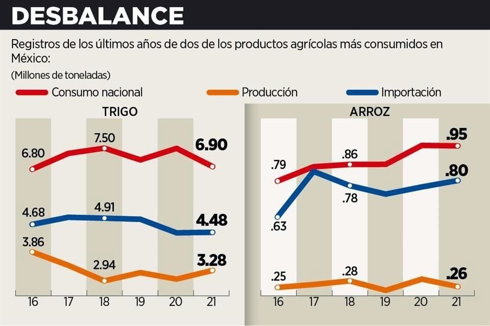 La producción de granos como maíz y trigo cayó en México durante la presente administración, lo que obligó a aumentar las importaciones.