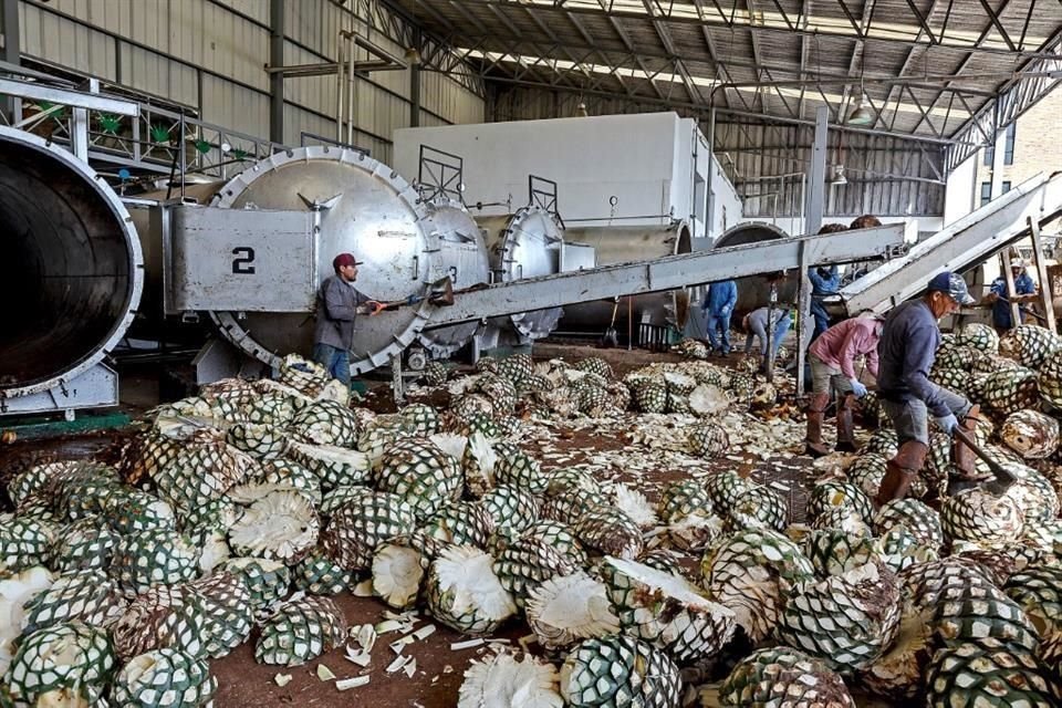 De enero de 2021 a junio de 2022 se enviaron 457.7 millones de litros de tequila a EU, el 84.2 por ciento de lo exportado a todo el mundo.