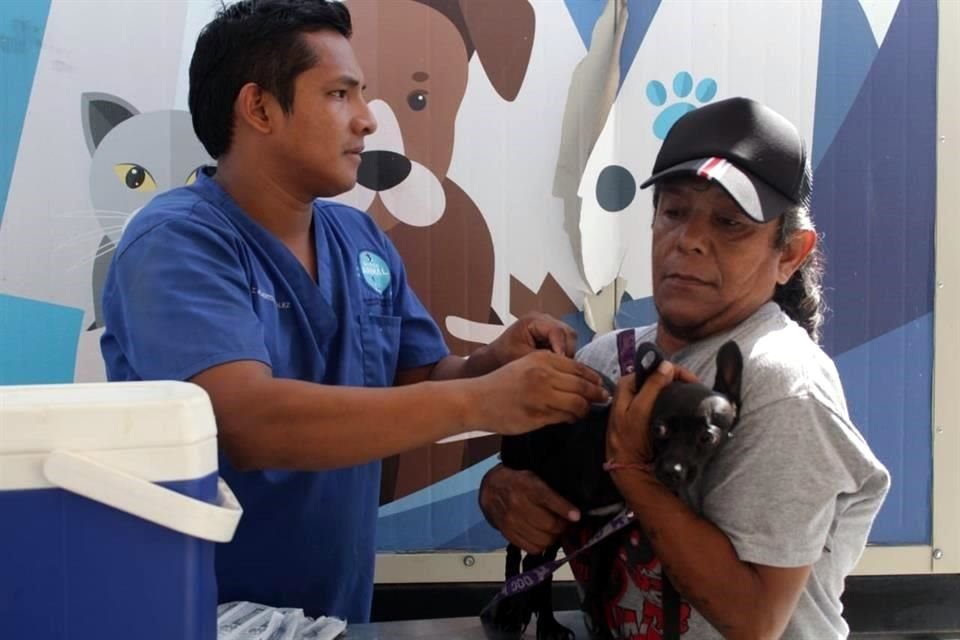 El Centro de Control Canino y Felino funge como centro de valoración para conocer si el animal que llega puede ser adoptado o debe quedar en resguardo.