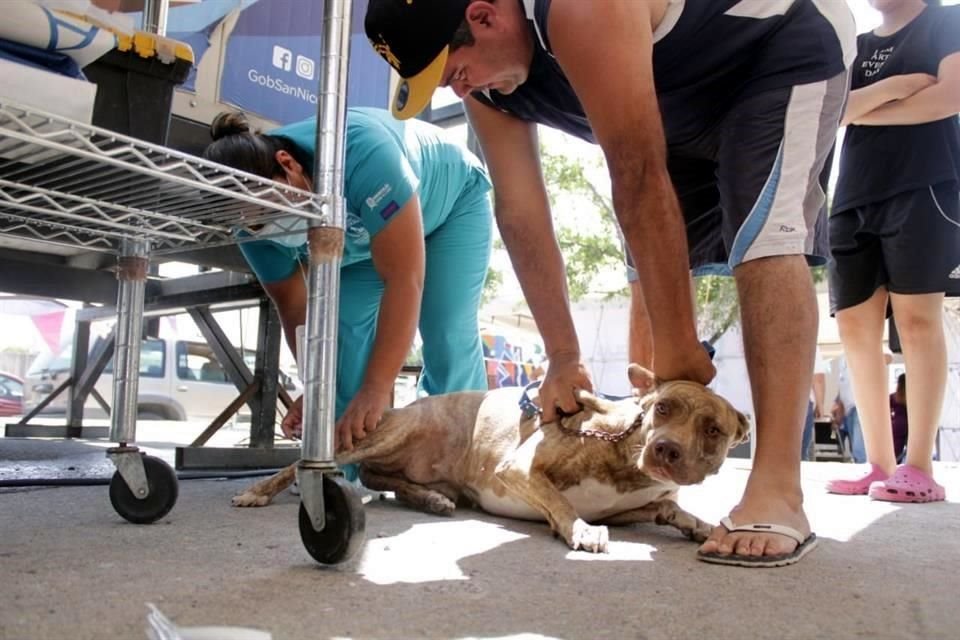 El Centro de Control Canino y Felino funge como centro de valoración para conocer si el animal que llega puede ser adoptado o debe quedar en resguardo.