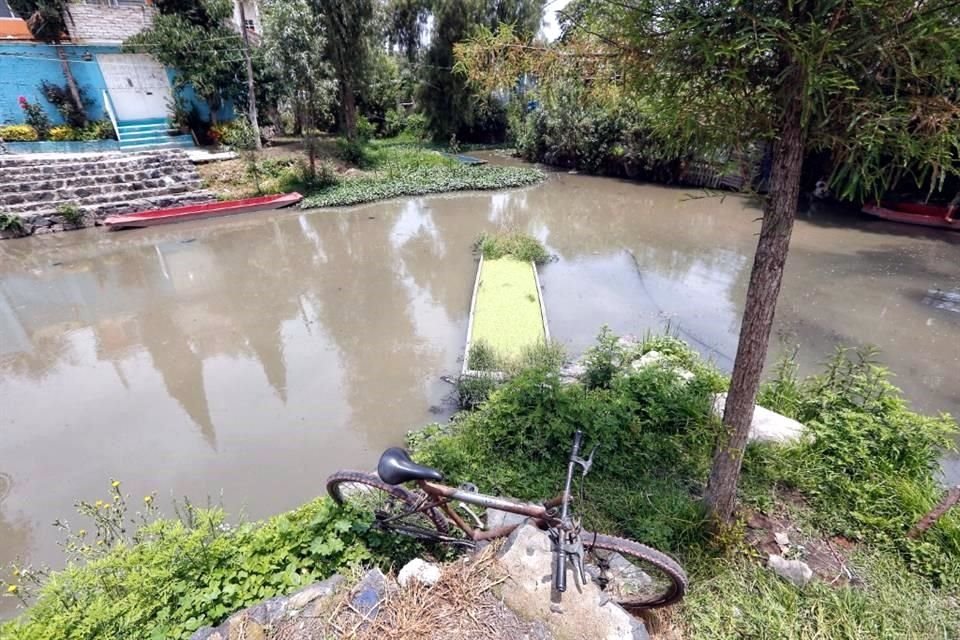 Pobladores de San Gregorio Atlapulco vieron un manantial con flora y fauna endémica convertirse en un canal de líquido gris.