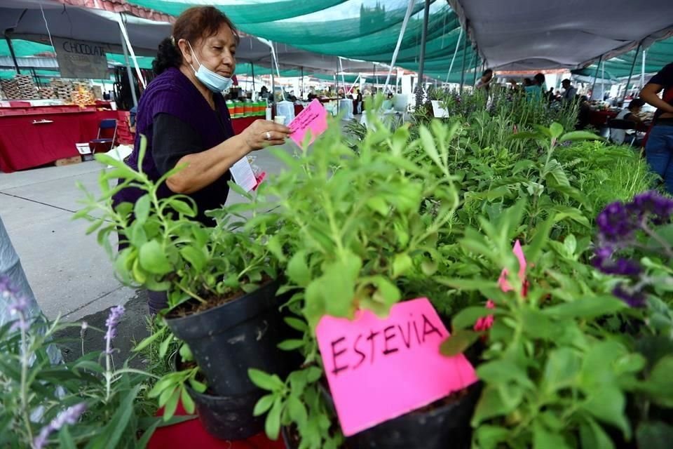 Durante la Fiesta, se ofrecerán talleres enfocados en oficios y saberes indígenas, como cartonería, máscaras, cocina, medicina tradicional indígena, bordado y danza.