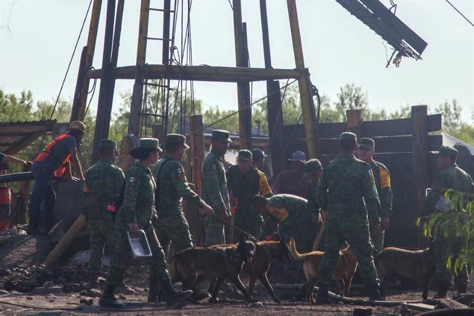 Militares y perros rescatistas laboran en la zona de la mina de carbón inundada.