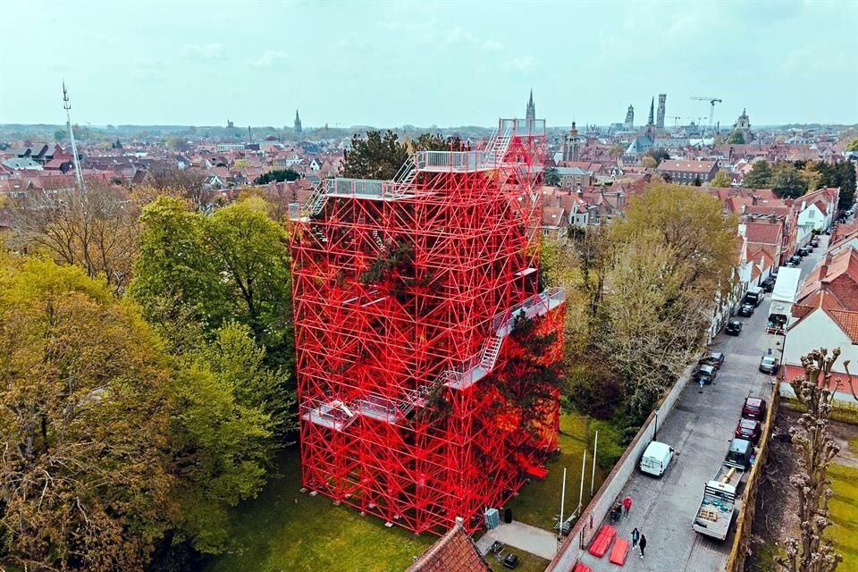 En la ciudad de Brujas, en Bélgica, el artista Héctor Zamora colocó una estructura de andamios alrededor de un árbol de 30 metros de altura, con andador para que el público recorra la obra en espiral.