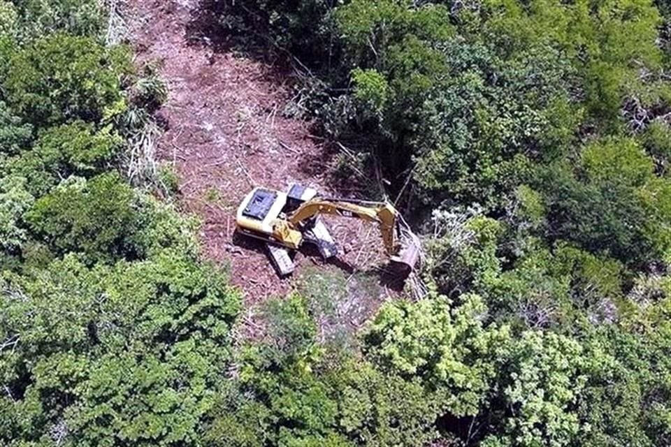 Ambientalistas alertaron que reiniciaron los trabajos subtramo Cinco Sur del Tren Maya, desde Playa del Carmen a Tulum, en Quintana Roo.