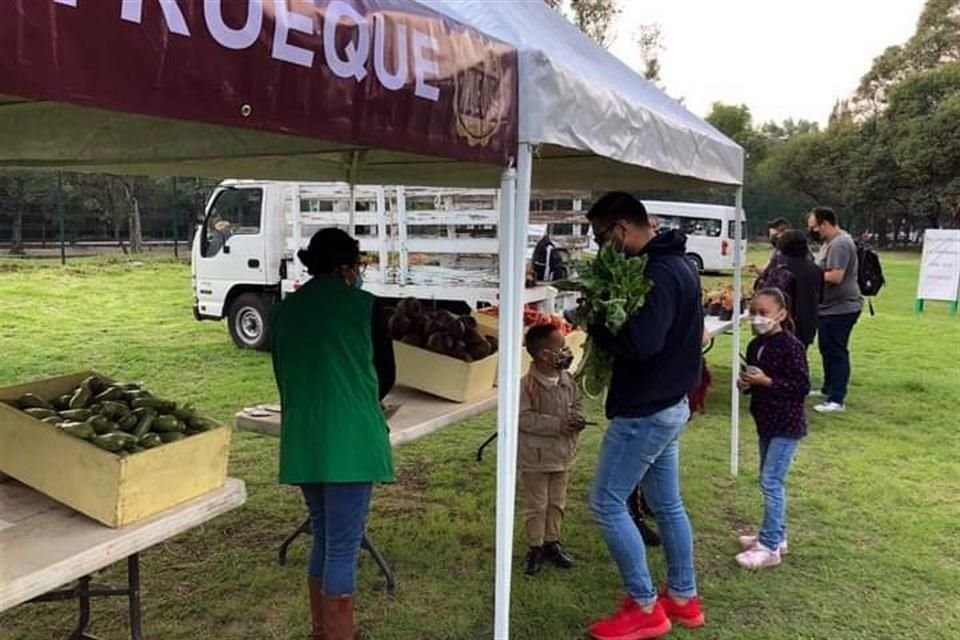 La Sedema llamó a padres de familia a entregar útiles escolares en desuso para intercambiarlos por plantas en el Mercado de Trueque.