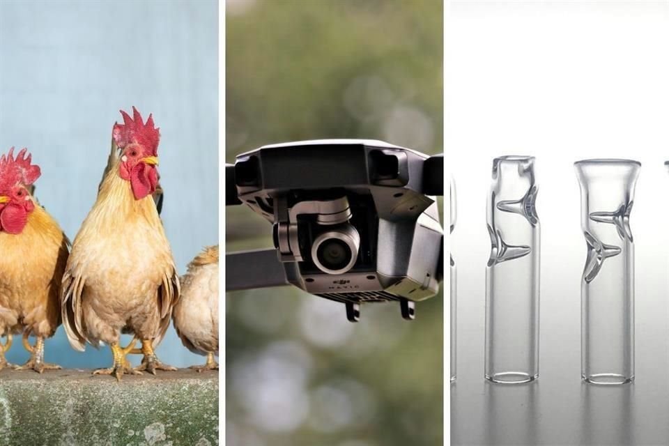 La Alcaldía Iztapalapa emitió licitaciones en busca de adquirir drones, pipas para fumar y gallinas, de acuerdo con la Gaceta Oficial.