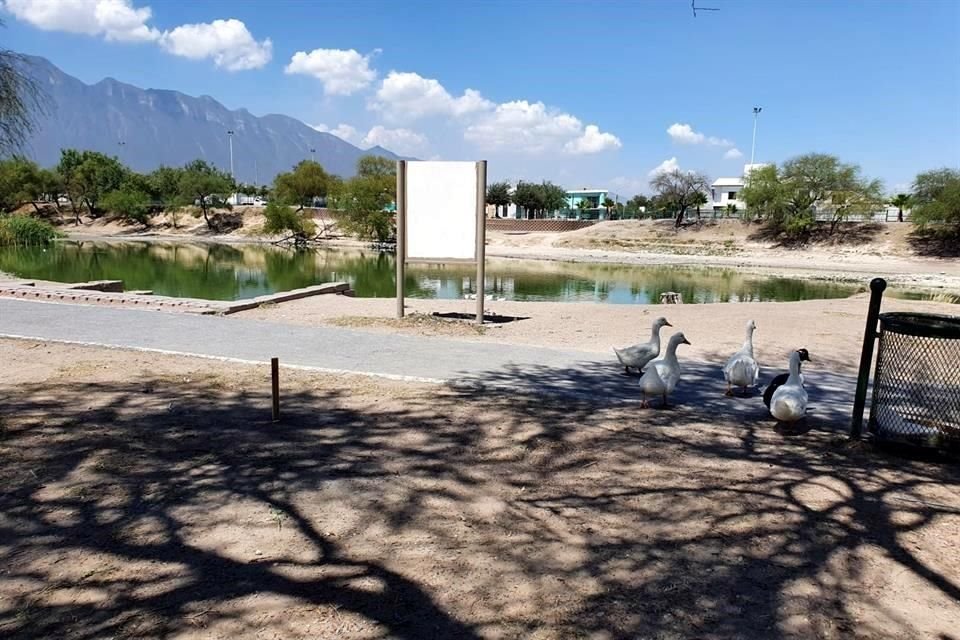 El Alcalde Luis Donaldo Colosio informó que se plantarán mil árboles en el Parque Lago.